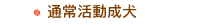 通常活動成犬