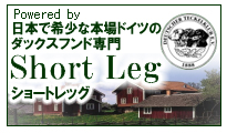 powerd by 日本で希少な本場ドイツのダックスフンド専門 shortleg(ショートレッグ)