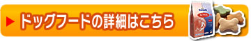 詳細はこちら