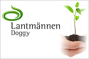 ラントメンネンドギー社